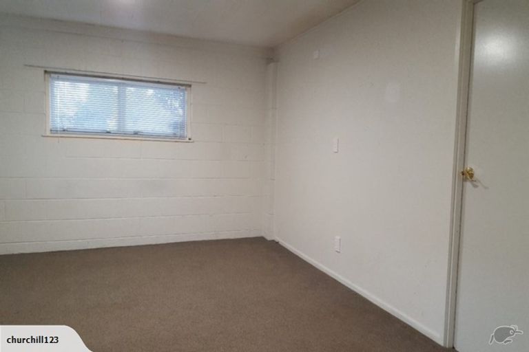 Photo of property in 133 Fitzroy Avenue, Fitzroy, Hamilton, 3206