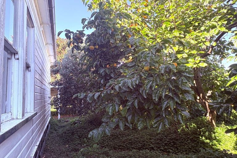 Photo of property in 12 Delhi Street, Wairoa, 4108