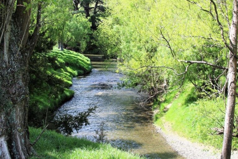 Photo of property in 5 Cuba Street, Dannevirke, 4930