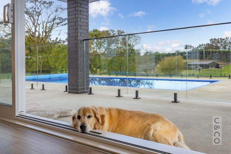 Photo of property in 43e Terry Smyth Drive, Kumeu, 0892