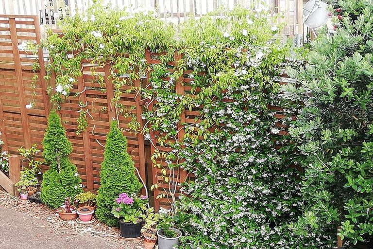 Photo of property in 2/92 Sartors Avenue, Browns Bay, Auckland, 0630