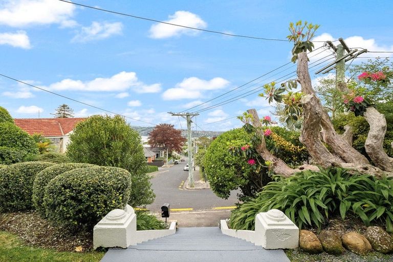 Photo of property in 53 Tweed Street, Roslyn, Dunedin, 9010