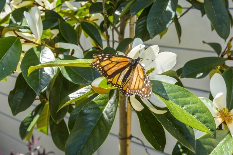 Photo of property in 11 Vernon Grove, Brown Owl, Upper Hutt, 5018