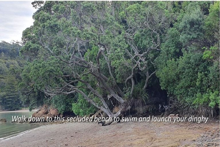 Photo of property in 498 Wyuna Bay Road, Wyuna Bay, Coromandel, 3581