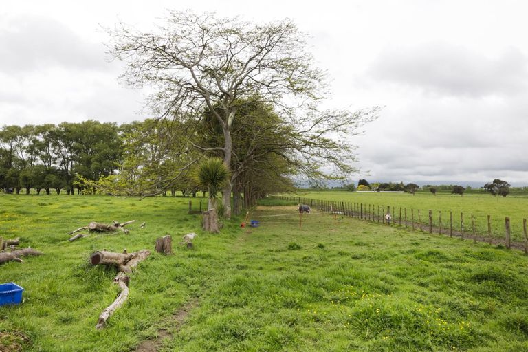 Photo of property in 1216 Rangiotu Road, Tiakitahuna, Palmerston North, 4477