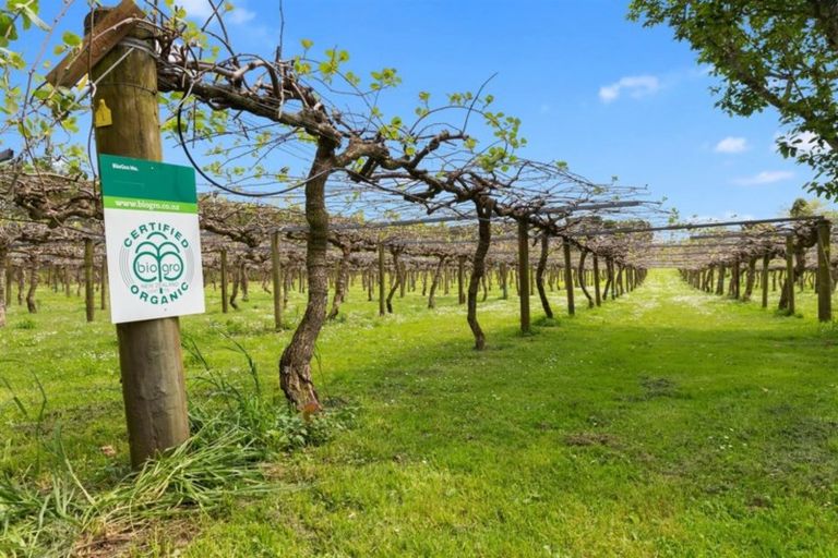 Photo of property in 28 Lindemann Road, Katikati, 3170