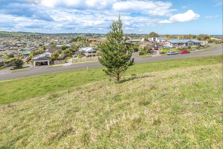 Photo of property in 51 Parkdale Drive, Aramoho, Wanganui, 4500