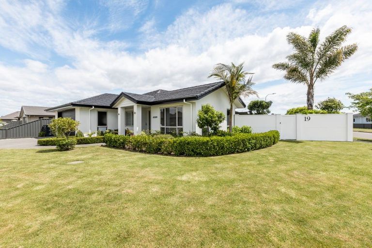 Photo of property in 19 Lochhead Street, Mahora, Hastings, 4120