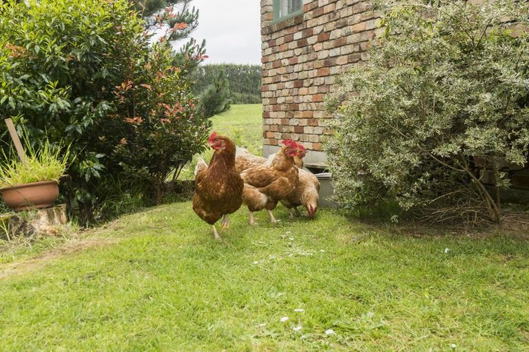 Photo of property in 289 Wright Road, Aongatete, Katikati, 3181