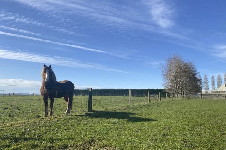 Photo of property in 750a Winton Lorneville Highway, Lochiel, Winton, 9781