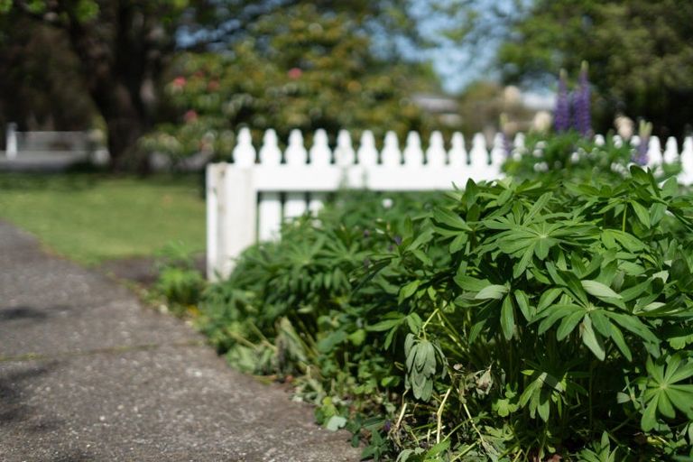 Photo of property in 36 Kent Street, Carterton, 5713