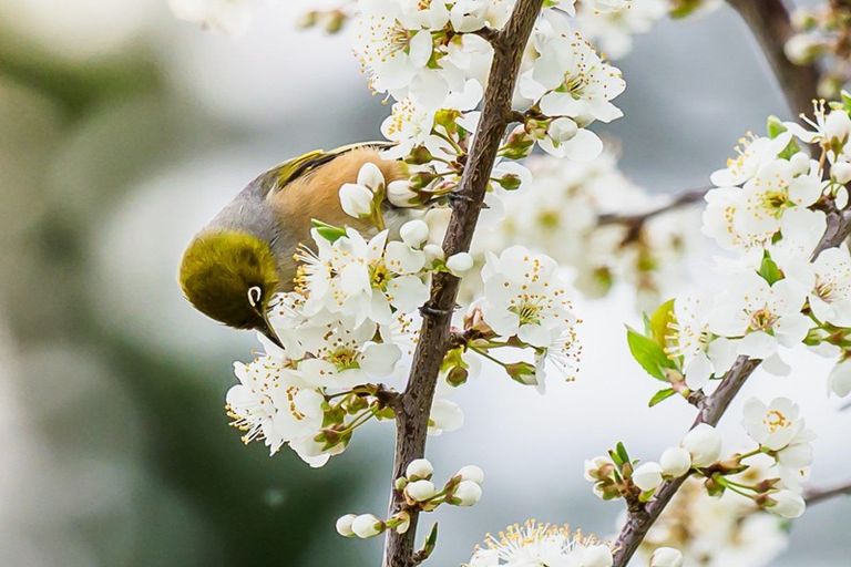 Photo of property in 16 Kennedy Road, Dairy Flat, Albany, 0792
