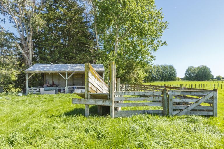 Photo of property in 1293c Roberts Line, Bunnythorpe, Palmerston North, 4478