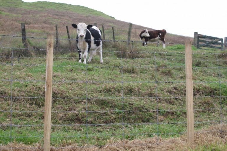 Photo of property in 65 Waikawau Valley Road, Kereta, Thames, 3575