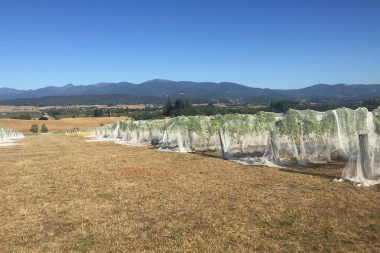 Photo of property in 66 Flett Road, Lower Moutere, Upper Moutere, 7175