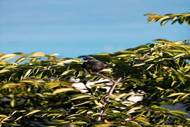 Photo of property in 138a Wynyard Crescent, Fernhill, Queenstown, 9300