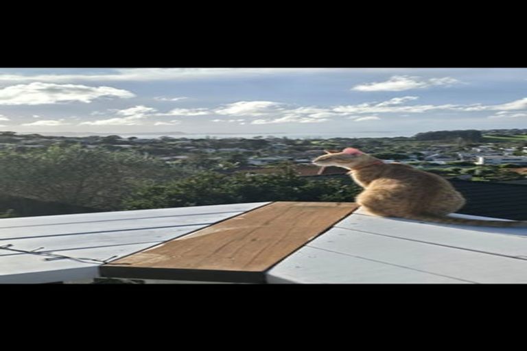 Photo of property in 21b Rishworth Avenue, Stanmore Bay, Whangaparaoa, 0932