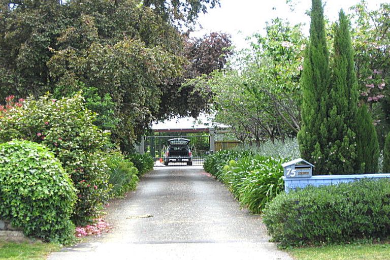 Photo of property in 75 Litchfield Street, Redwoodtown, Blenheim, 7201