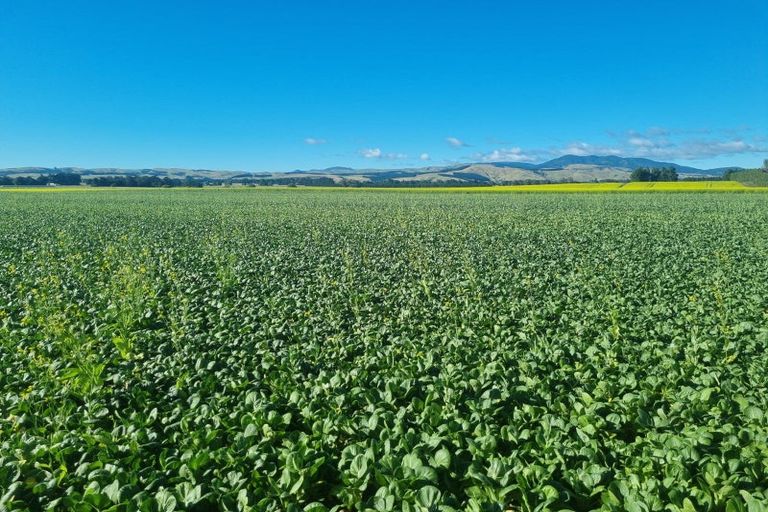 Photo of property in 247 Mahaki Road, Dyerville, Martinborough, 5781