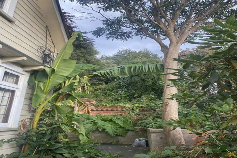 Photo of property in 45 Garfield Avenue, Roslyn, Dunedin, 9010