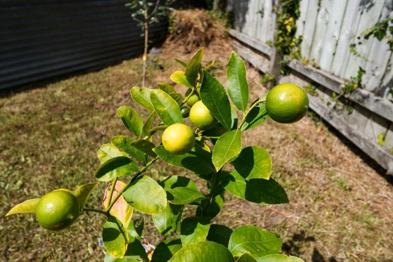 Photo of property in 20 Newton Place, Westbrook, Palmerston North, 4412