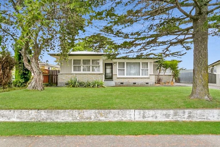 Photo of property in 26 Bristol Street, Tamatea, Napier, 4112