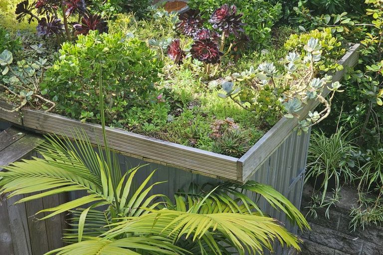 Photo of property in 19 Waru Lane, Te Atatu Peninsula, Auckland, 0610