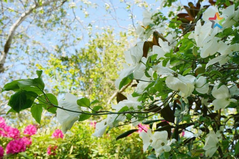 Photo of property in 72 Bush Street, Lumsden, 9730