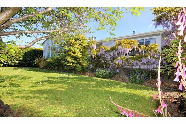 Photo of property in 146 Opawa Road, Opawa, Christchurch, 8023