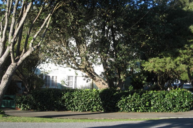 Photo of property in 117 Oroua Street, Eastbourne, Lower Hutt, 5013