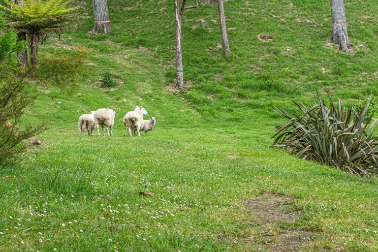 Photo of property in 69 Francis Road, Whakamarama, Tauranga, 3172