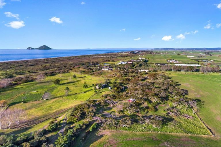 Photo of property in 880e Thornton Road, Thornton, Whakatane, 3194