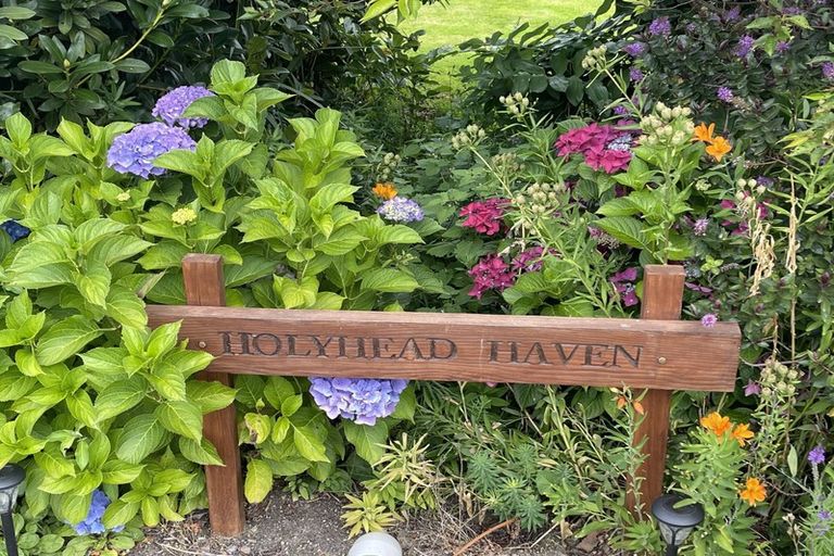 Photo of property in 57 Holyhead Street, Outram, 9019