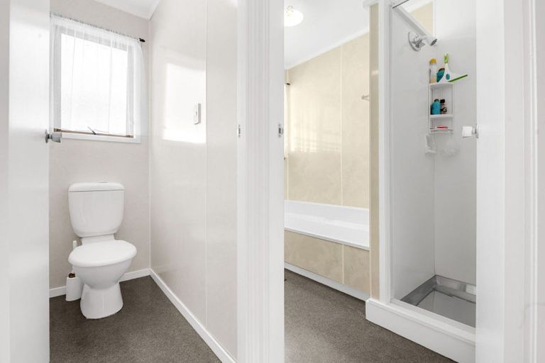 Photo of property in 17 Hibiscus Avenue, Hamilton Lake, Hamilton, 3204