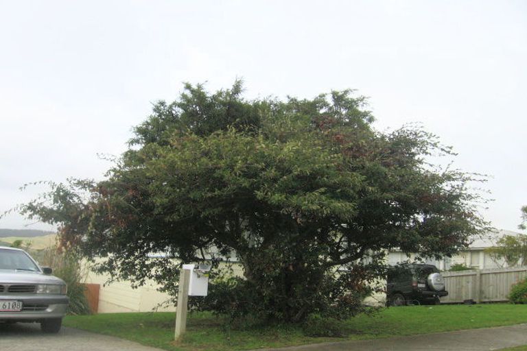 Photo of property in 26 Desert Gold Street, Ascot Park, Porirua, 5024