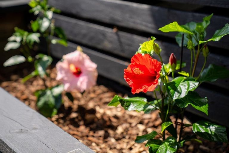 Photo of property in 14 Walbrook Road, Manly, Whangaparaoa, 0930