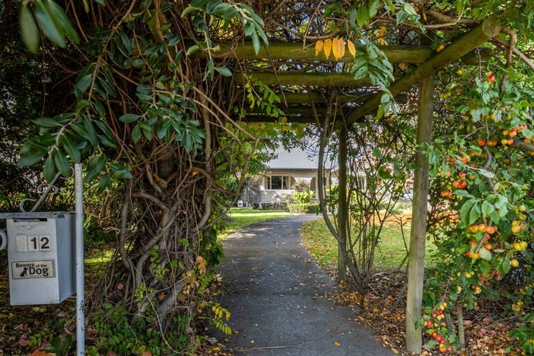 Photo of property in 112 Davis Street, Saint Leonards, Hastings, 4120