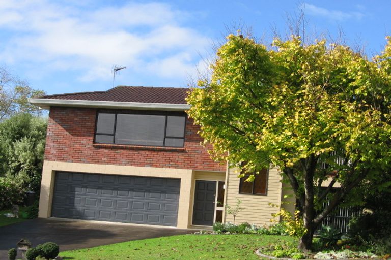 Photo of property in 46 John Gill Road, Shelly Park, Auckland, 2014