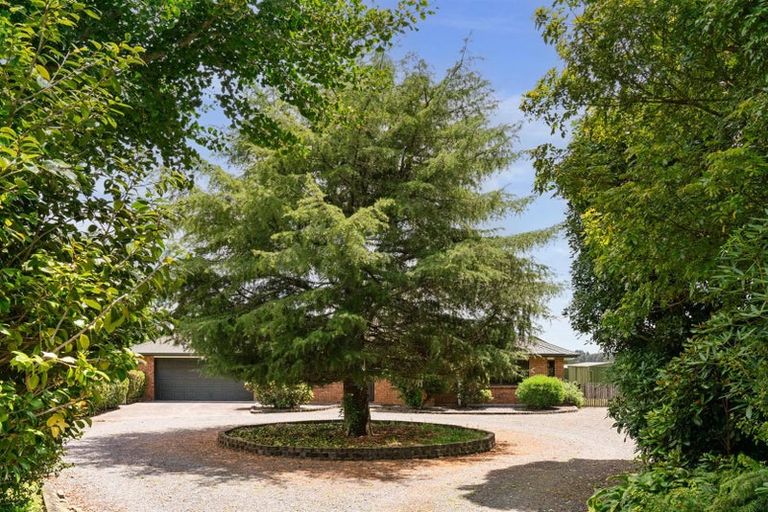 Photo of property in 928 Omanawa Road, Omanawa, Tauranga, 3171