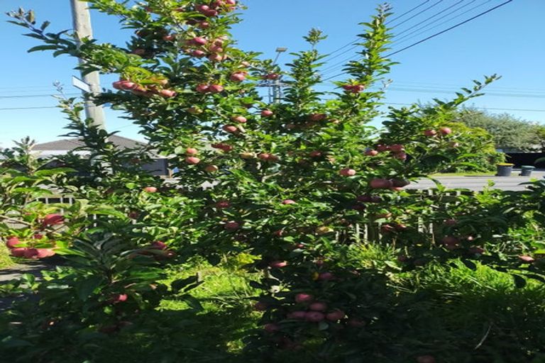 Photo of property in 1/27 Ethne Street, Mairehau, Christchurch, 8013