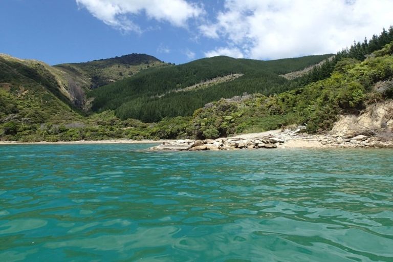 Photo of property in Elie Bay Road, Crail Bay, Marlborough Sounds, 7282