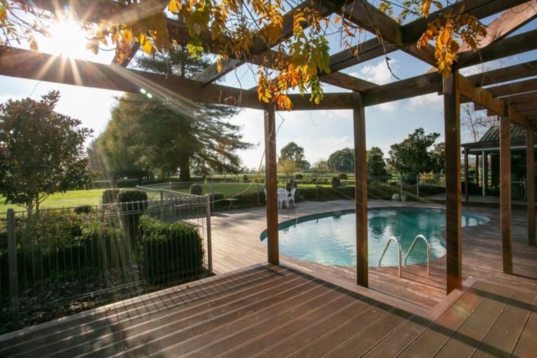 Photo of property in 298 Bellevue Road, Matangi, Cambridge, 3493