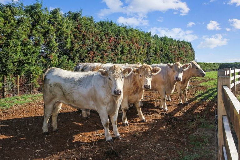 Photo of property in 34 Hunt Road, Pembroke, Stratford, 4391