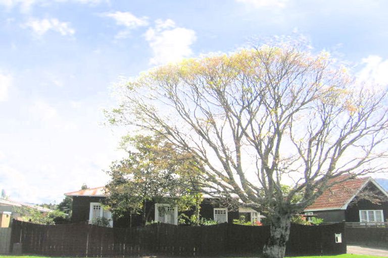 Photo of property in 7 Ann Street, Victoria, Rotorua, 3010