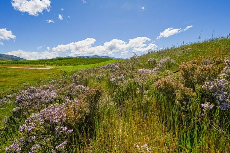 Photo of property in 25 Northridge Road, Waikerikeri, Alexandra, 9391