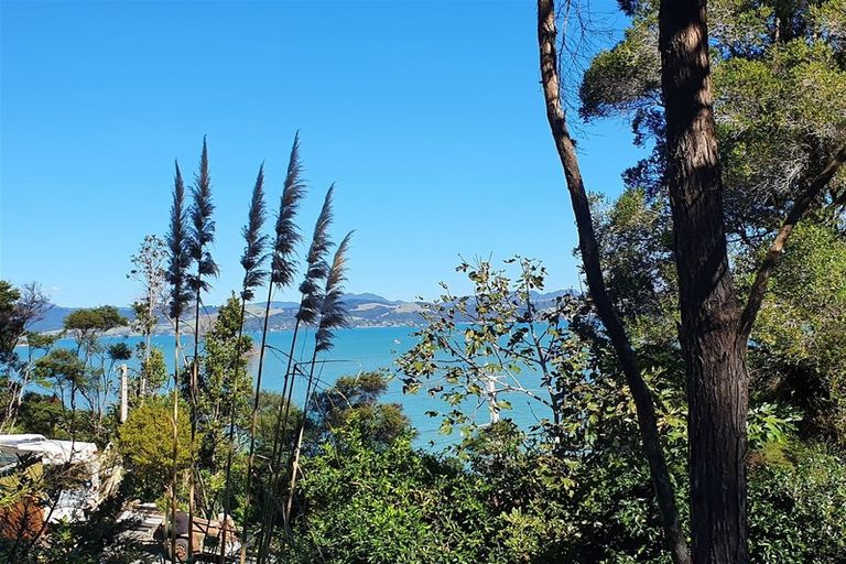 Photo of property in 498 Wyuna Bay Road, Wyuna Bay, Coromandel, 3581