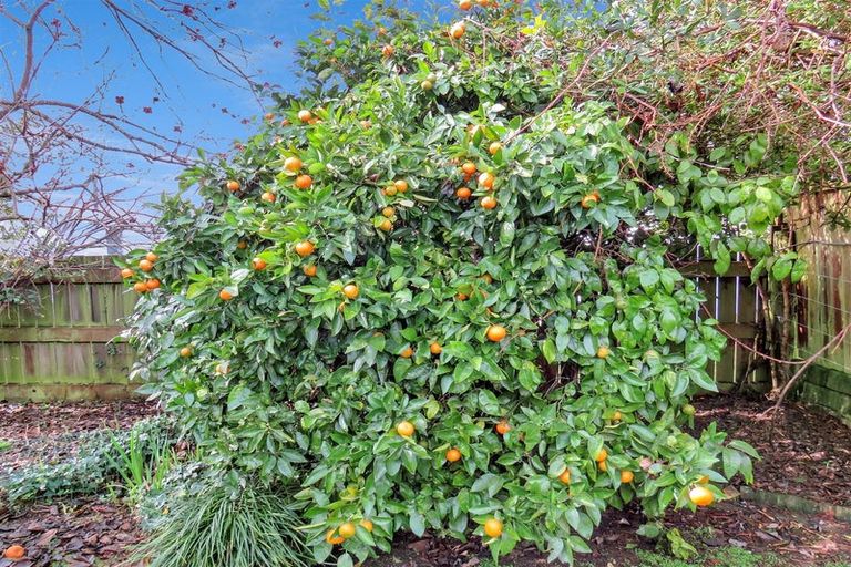 Photo of property in 66 James Street, Glenholme, Rotorua, 3010