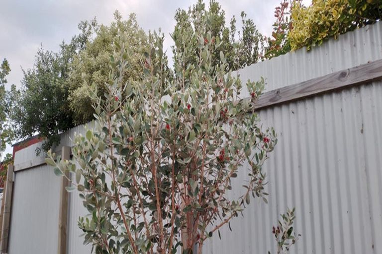 Photo of property in 386 Alabama Road, Riverlands, Blenheim, 7274