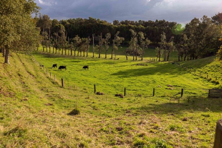 Photo of property in 67 Laurel Drive, Whakamarama, Tauranga, 3179