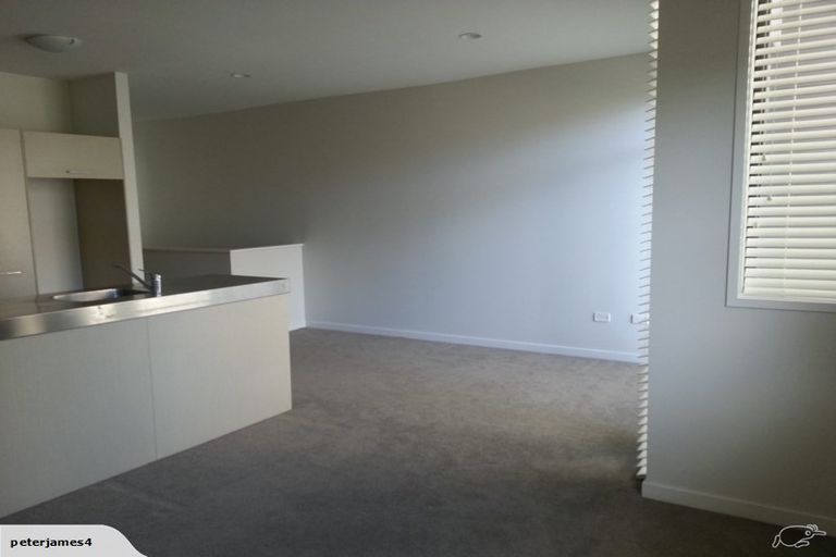 Photo of property in 46 Harold Street, Mount Eden, Auckland, 1024